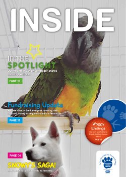 spotlight - Woodside Animal Centre