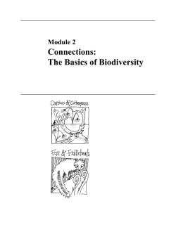 Connections: The Basics of Biodiversity
