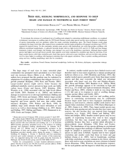 seed size, seedling morphology, and response to deep