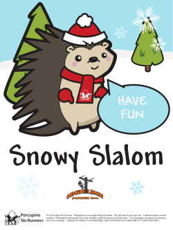 Playground Sinage - Porcupine Ski Runners