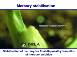 Stabilisation of mercury for final disposal by formation of mercury