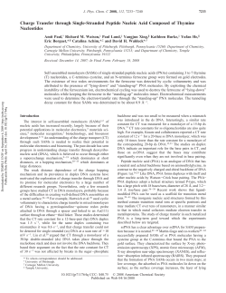 Charge Transfer through Single-Stranded Peptide