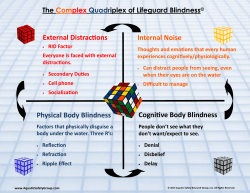 External Distractions Physical Body Blindness Internal Noise