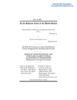 Brief for Constitutional Law Scholars
