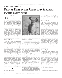 Deer - cloudfront.net