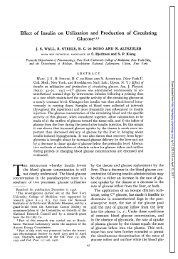 Effect of Insulin on Utilization and Production of