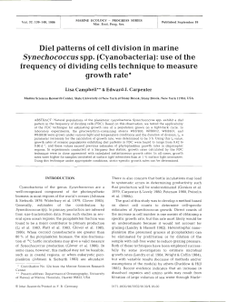 Die1 patterns of cell division in marine Synechococcus spp