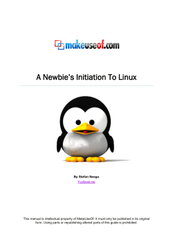 A Newbie`s Initiation To Linux