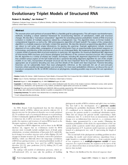 Evolutionary Triplet Models of Structured RNA