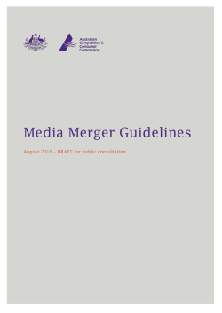 Media Merger Guidelines