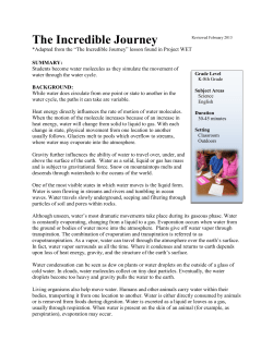The Incredible Journey - Utah State University Extension