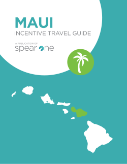 incentive travel guide