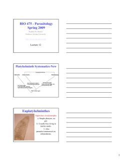 Lecture 12 - Northern Arizona University