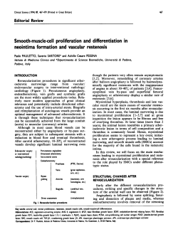 Smooth-Muscle-Cell Proliferation and