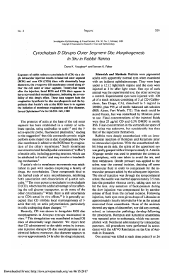 Cytochalasin D disrupts outer segment disc morphogenesis