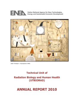 annual report 2010