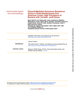 Plasmid-Mediated Quinolone Resistance Genes in