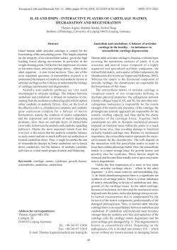 IL-1&szlig; and BMPs - Interactive players of cartilage matrix degradation