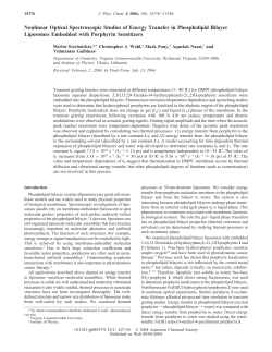 J. Phys. Chem. B - American Chemical Society