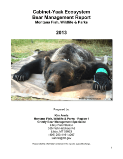2013 Cabinet-Yaak Ecosystem Bear Report
