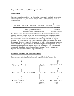 Preparation of Soap by Lipid Saponification