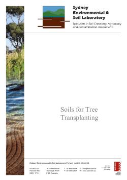 Soils for Tree Transplanting