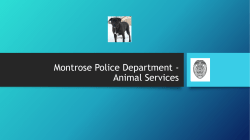Animal Services - City of Montrose