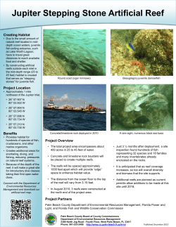 Jupiter Stepping Stone Artificial Reef