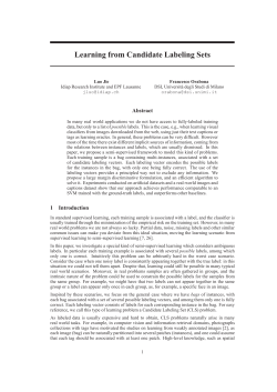 Learning from Candidate Labeling Sets