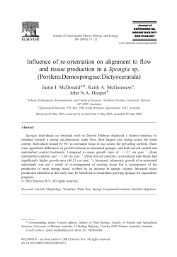 Influence of re-orientation on alignment to flow and tissue production