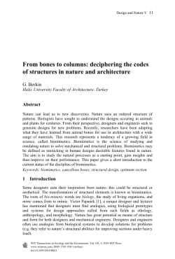 From bones to columns: deciphering the codes of