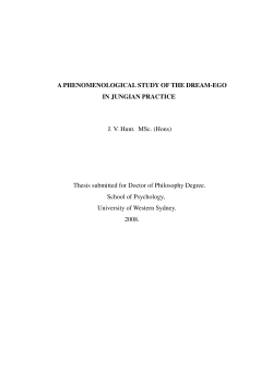 A PHENOMENOLOGICAL STUDY OF THE DREAM