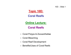 Topic 10D: Coral Reefs Online Lecture: Coral Reefs