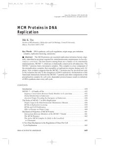 MCM Proteins in DNA Replication