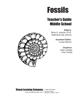 Fossils Guide