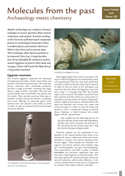 Molecules from the past