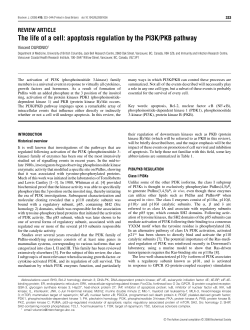 The life of a cell: apoptosis regulation by the PI3K/PKB pathway