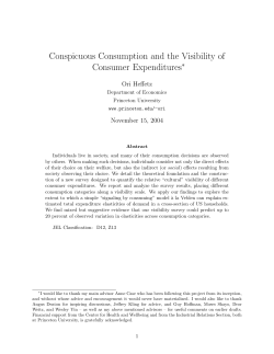 Conspicuous Consumption and the Visibility of Consumer