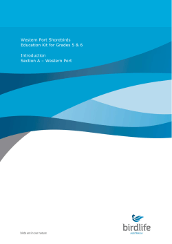 Western Port Shorebird Education Kit