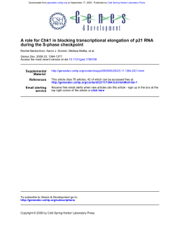 during the S-phase checkpoint A role for Chk1 in