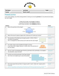 Perimeter and Area