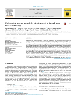 Mathematical imaging methods for mitosis analysis in live