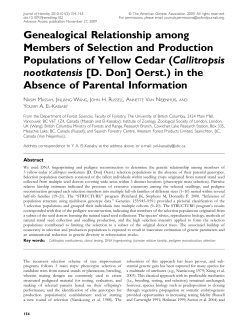Genealogical Relationship among Members of Selection and