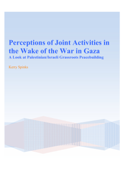 Perceptions of Joint Activities in the Wake of the War in Gaza A Look