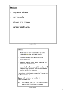 Review: stages of mitosis cancer cells mitosis and cancer cancer