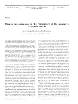 Full text in pdf format