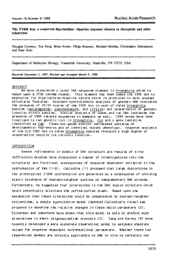 The YYRR box: a conserved dipyrimidine