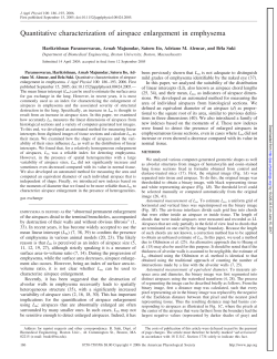 Quantitative characterization of airspace enlargement in emphysema