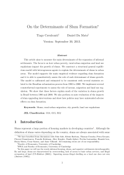 On the Determinants of Slum Formation