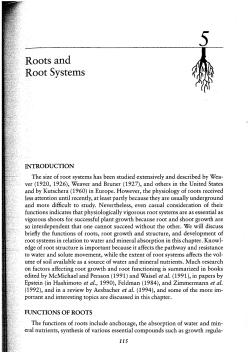 Roots and Root Systems